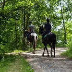 Il Poggio Apartmán Mombaroccio